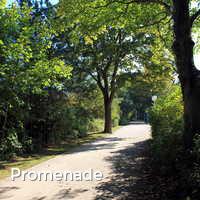 Promenade, Boltenhagen