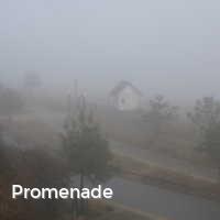 Promenade, Nebel an der Ostsee