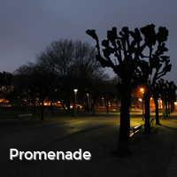 Promenade, Abends an der Ostsee