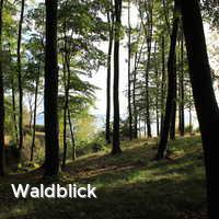 Waldblick, Bliesdorf Strand