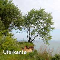 Uferkante, Brodtener Ufer