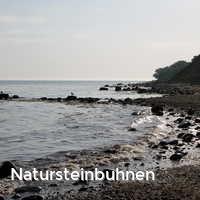Natursteinbuhnen, Brodtener Ufer