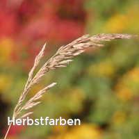 Herbstfarben, Bunter Herbst