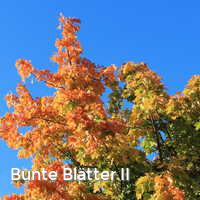 Bunte Blätter II, Bunter Herbst