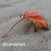 Strandblatt, Bunter Herbst