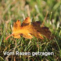Vom Rasen getragen, Bunter Herbst