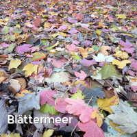 Blättermeer, Bunter Herbst