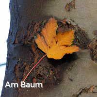 Am Baum, Bunter Herbst