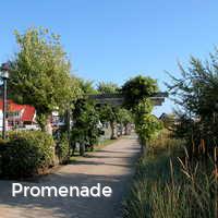 Promenade, Haffkrug
