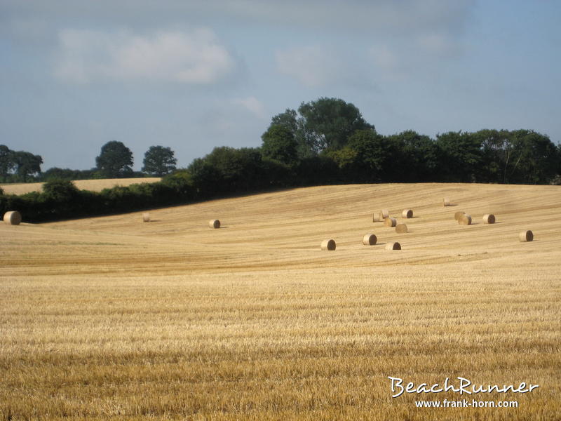 23.08.2012, Aufgerollt, Roge, Kunterbunt