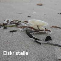 Eiskristalle, Muscheln