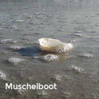 Muschelboot, Muscheln