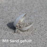Mit Sand gefüllt, Muscheln