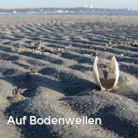 Auf Bodenwellen, Muscheln