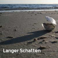 Langer Schatten, Muscheln