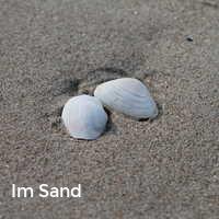 Im Sand, Muscheln