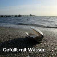 Gefüllt mit Wasser, Muscheln