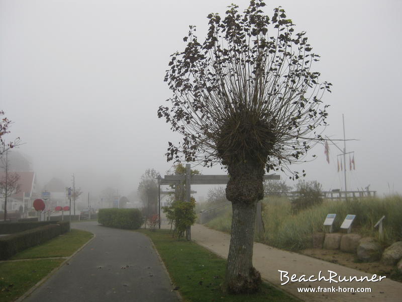 Strandpromenade, Nebel an der Ostsee