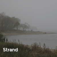Strand, Nebel an der Ostsee