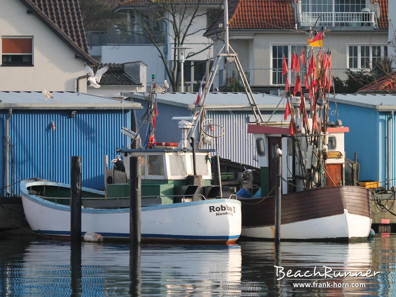 Kutter, Niendorfer Fischereihafen