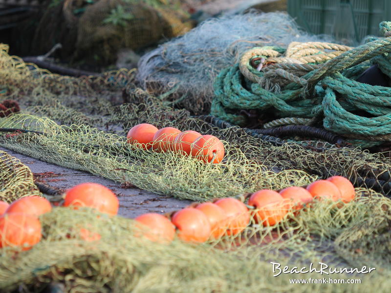 Fischereiallerlei, Niendorfer Fischereihafen