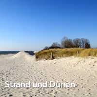 Strand und Dünen, Pelzerhaken