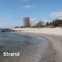 Strand, Rettin