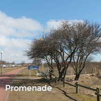 Promenade, Rettin