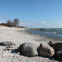 Strand, Rettin