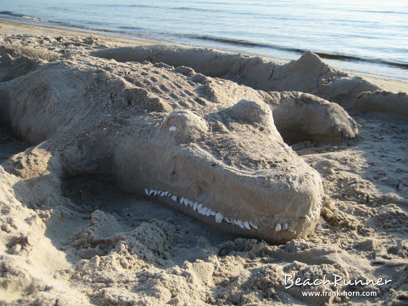 Krokodil, Strand im Sommer