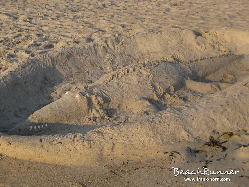 Sandkrokodil, Strand im Sommer