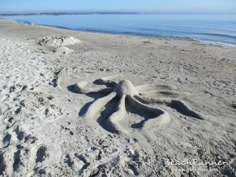 Krake, Strand im Sommer