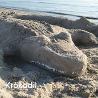 Krokodil, Strand im Sommer