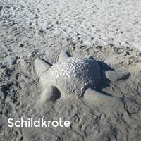 Schildkröte, Strand im Sommer