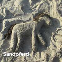 Sandpferd, Strand im Sommer