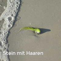 Stein mit Haaren, Strand im Sommer