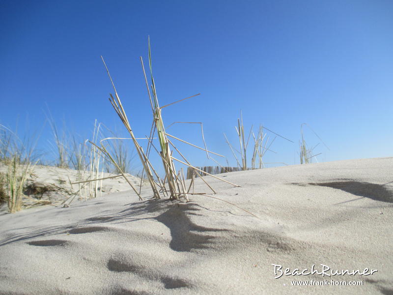 Düne und Sand, Scharbeutz