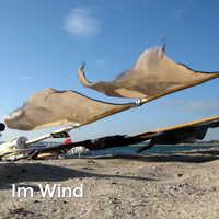 Im Wind, Sierksdorf