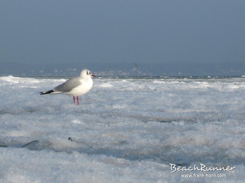 Blick zum Wasser, Winter an der Ostsee