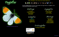 2001: Fotoseite mit Schmetterlingen